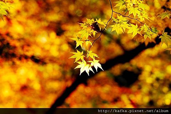 DSC_9549.JPG DSC_9549.JPG