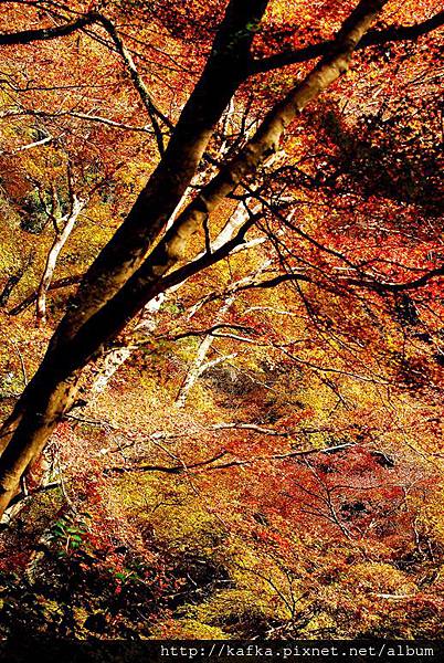 DSC_9539.JPG DSC_9539.JPG