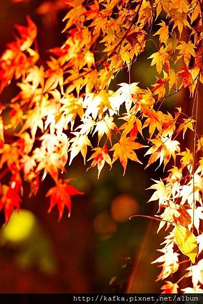 DSC_9582.JPG DSC_9582.JPG