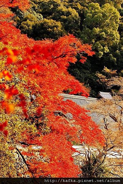 DSC_9584.JPG DSC_9584.JPG