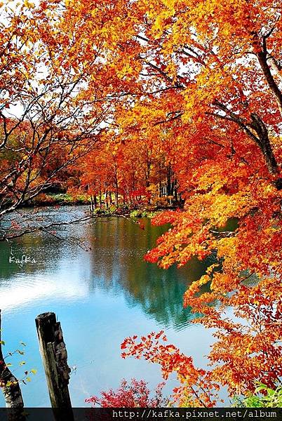 04DSC_1567.JPG 04DSC_1567.JPG