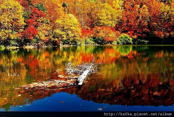 01DSC_1343.JPG 01DSC_1343.JPG