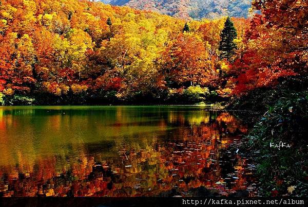 02DSC_1351.JPG 02DSC_1351.JPG