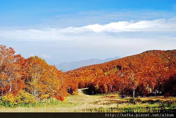 03DSC_1210.JPG 03DSC_1210.JPG