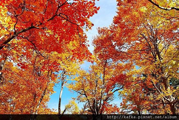 06DSC_1418.JPG 06DSC_1418.JPG