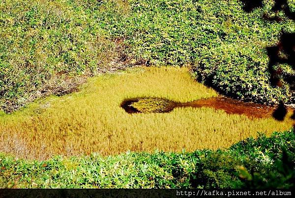 08DSC_1449.JPG 08DSC_1449.JPG