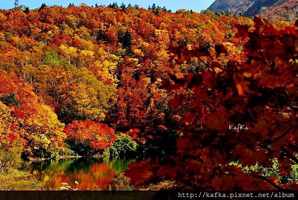 07DSC_1312.JPG 07DSC_1312.JPG