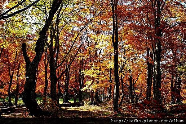 12DSC_1593.JPG 12DSC_1593.JPG