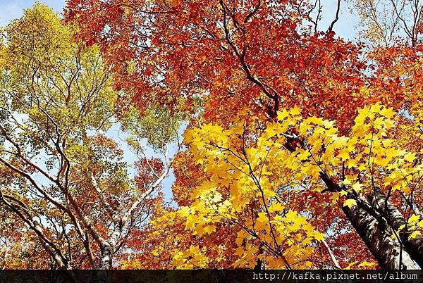 10DSC_1416.JPG 10DSC_1416.JPG