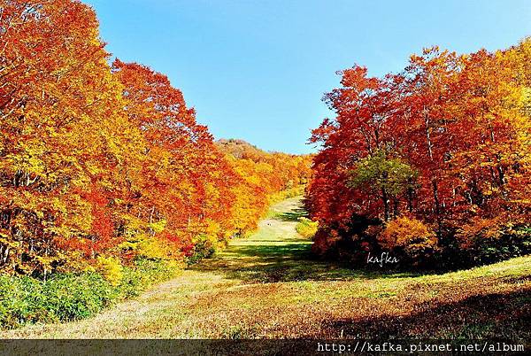 11DSC_1511.JPG 11DSC_1511.JPG