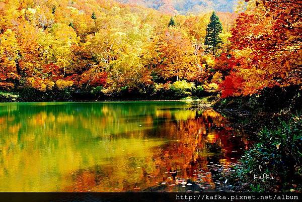 09DSC_1340.JPG 09DSC_1340.JPG