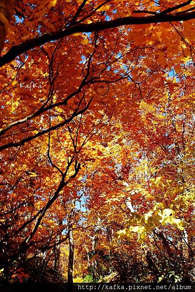 16DSC_1249.JPG 16DSC_1249.JPG