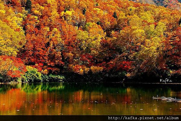 15DSC_1406.JPG 15DSC_1406.JPG