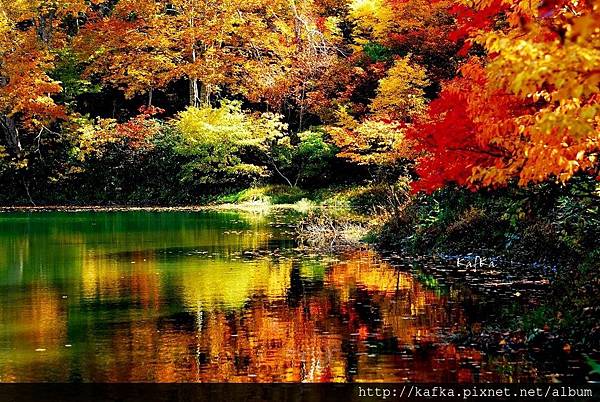 14DSC_1338.JPG 14DSC_1338.JPG