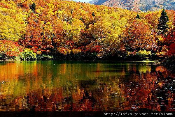 13DSC_1362.JPG 13DSC_1362.JPG