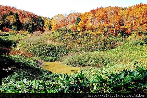 16DSC_1455.JPG 16DSC_1455.JPG