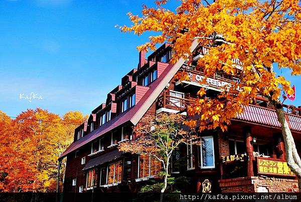 20DSC_1540.JPG 20DSC_1540.JPG