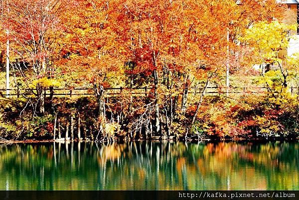 17DSC_1594.JPG 17DSC_1594.JPG