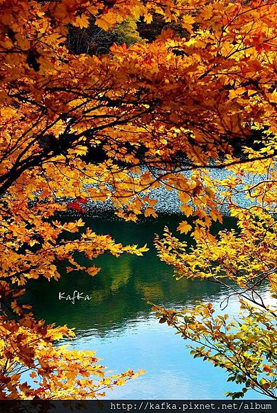 23DSC_1564.JPG 23DSC_1564.JPG