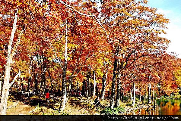 18DSC_1612.JPG 18DSC_1612.JPG