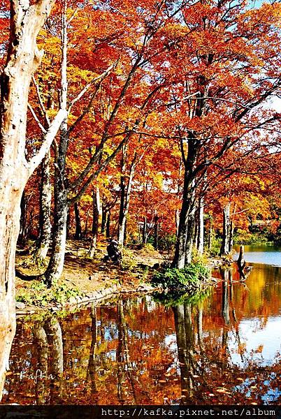 21DSC_1615.JPG 21DSC_1615.JPG