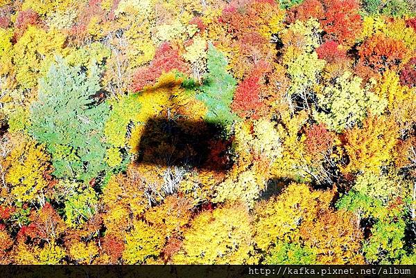 DSC_1101.JPG DSC_1101.JPG