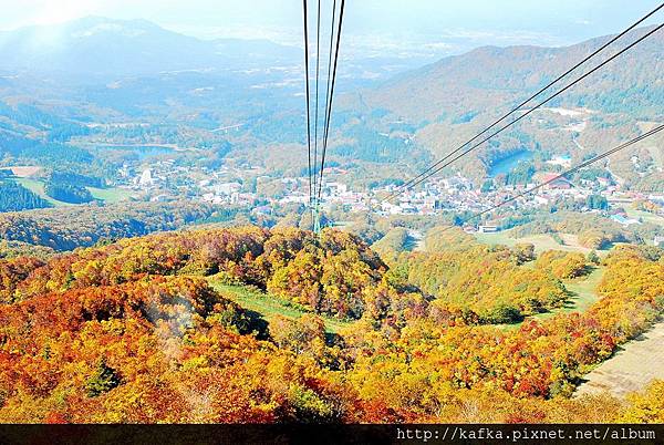 DSC_1103R.JPG DSC_1103R.JPG