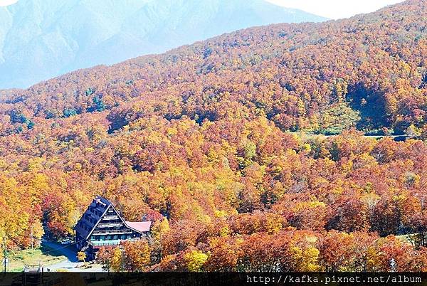 DSC_1115.JPG DSC_1115.JPG