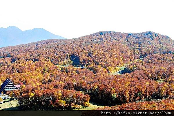 DSC_1111.JPG DSC_1111.JPG