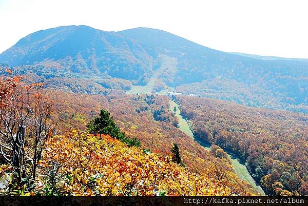 DSC_1119.JPG DSC_1119.JPG