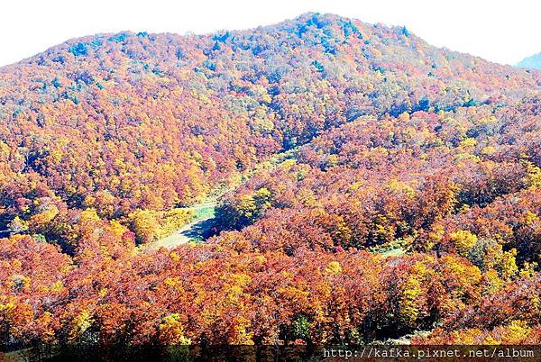 DSC_1113.JPG DSC_1113.JPG