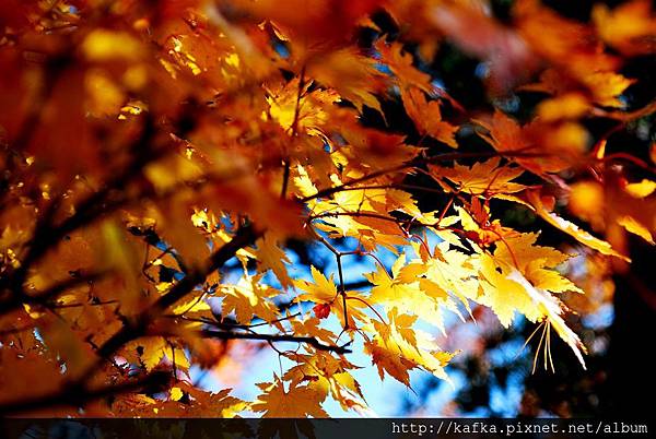 DSC_1128.JPG DSC_1128.JPG