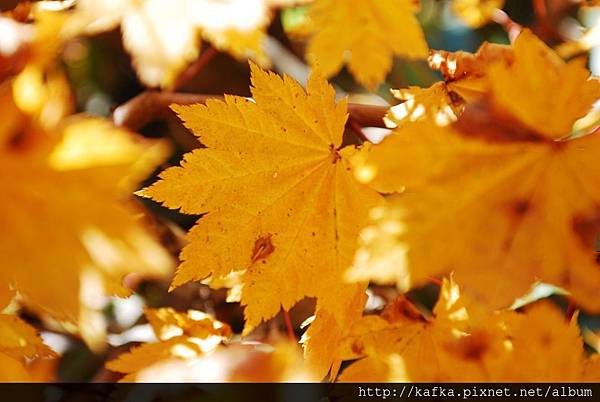 DSC_1138.JPG DSC_1138.JPG