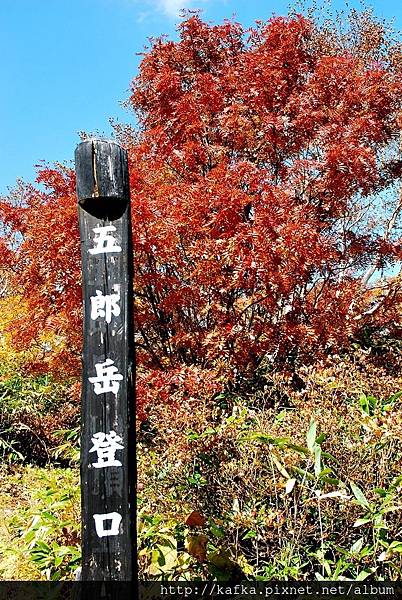 DSC_1476.JPG DSC_1476.JPG