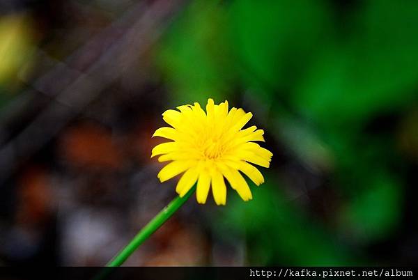 DSC_1504.JPG DSC_1504.JPG