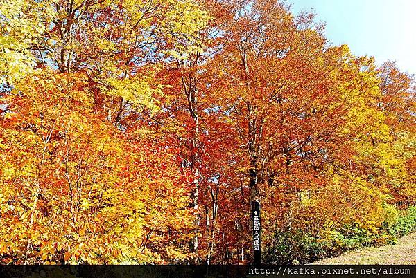 DSC_1503.JPG DSC_1503.JPG