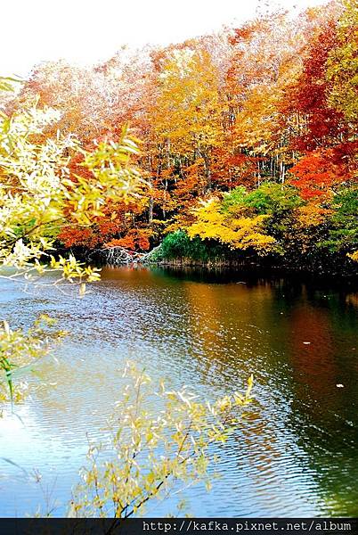 DSC_1523.JPG DSC_1523.JPG