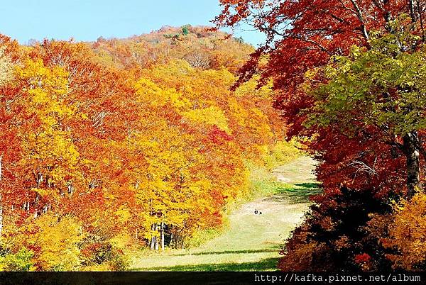 DSC_1505.JPG DSC_1505.JPG