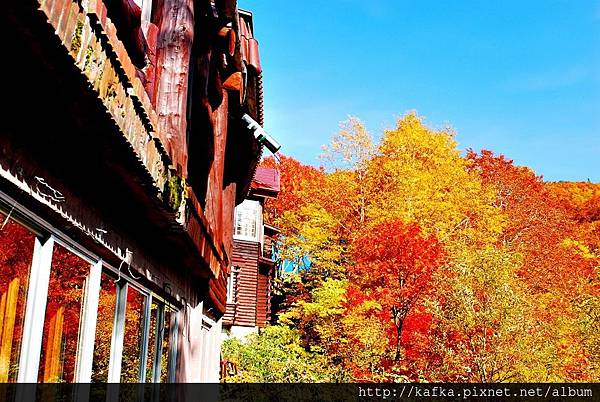 DSC_1535.JPG DSC_1535.JPG