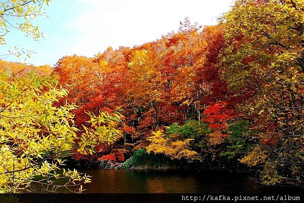 DSC_1530.JPG DSC_1530.JPG