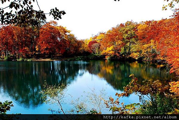 DSC_1554.JPG DSC_1554.JPG