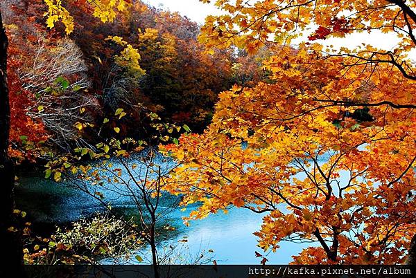 DSC_1561.JPG DSC_1561.JPG