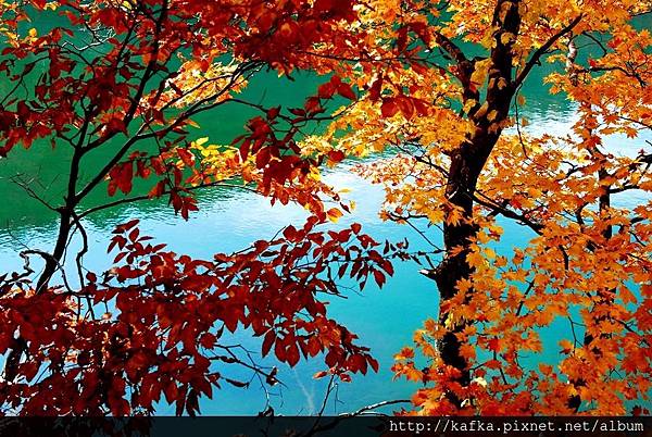 DSC_1572.JPG DSC_1572.JPG