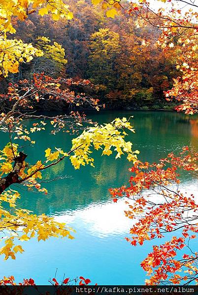 DSC_1573.JPG DSC_1573.JPG