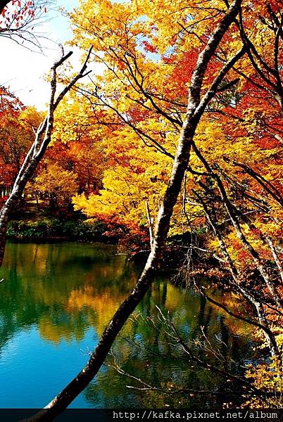 DSC_1579.JPG DSC_1579.JPG