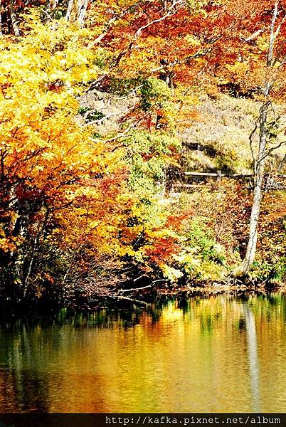 DSC_1602.JPG DSC_1602.JPG