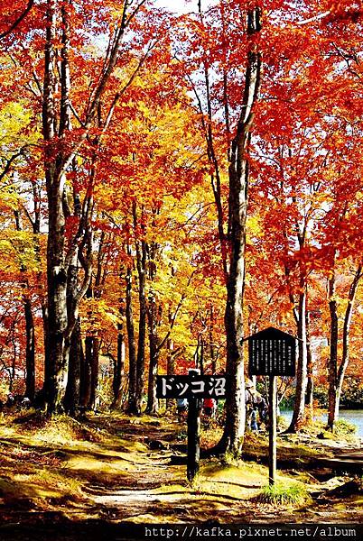 DSC_1617.JPG DSC_1617.JPG