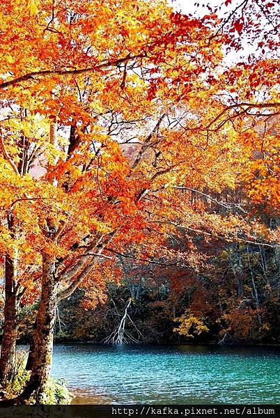 DSC_1619.JPG DSC_1619.JPG