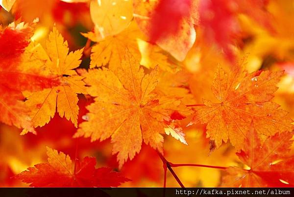 DSC_1144.JPG DSC_1144.JPG