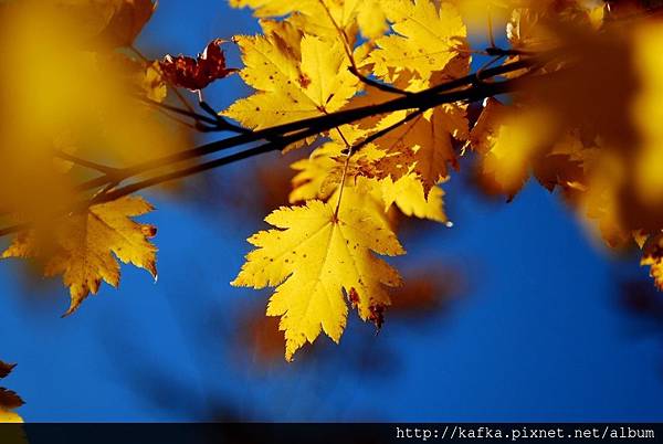 DSC_1168.JPG DSC_1168.JPG